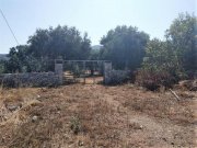 Aspro Kreta, Aspro: Olivenhain mit Meerblick und Baugenehmigung in Aspro Grundstück kaufen